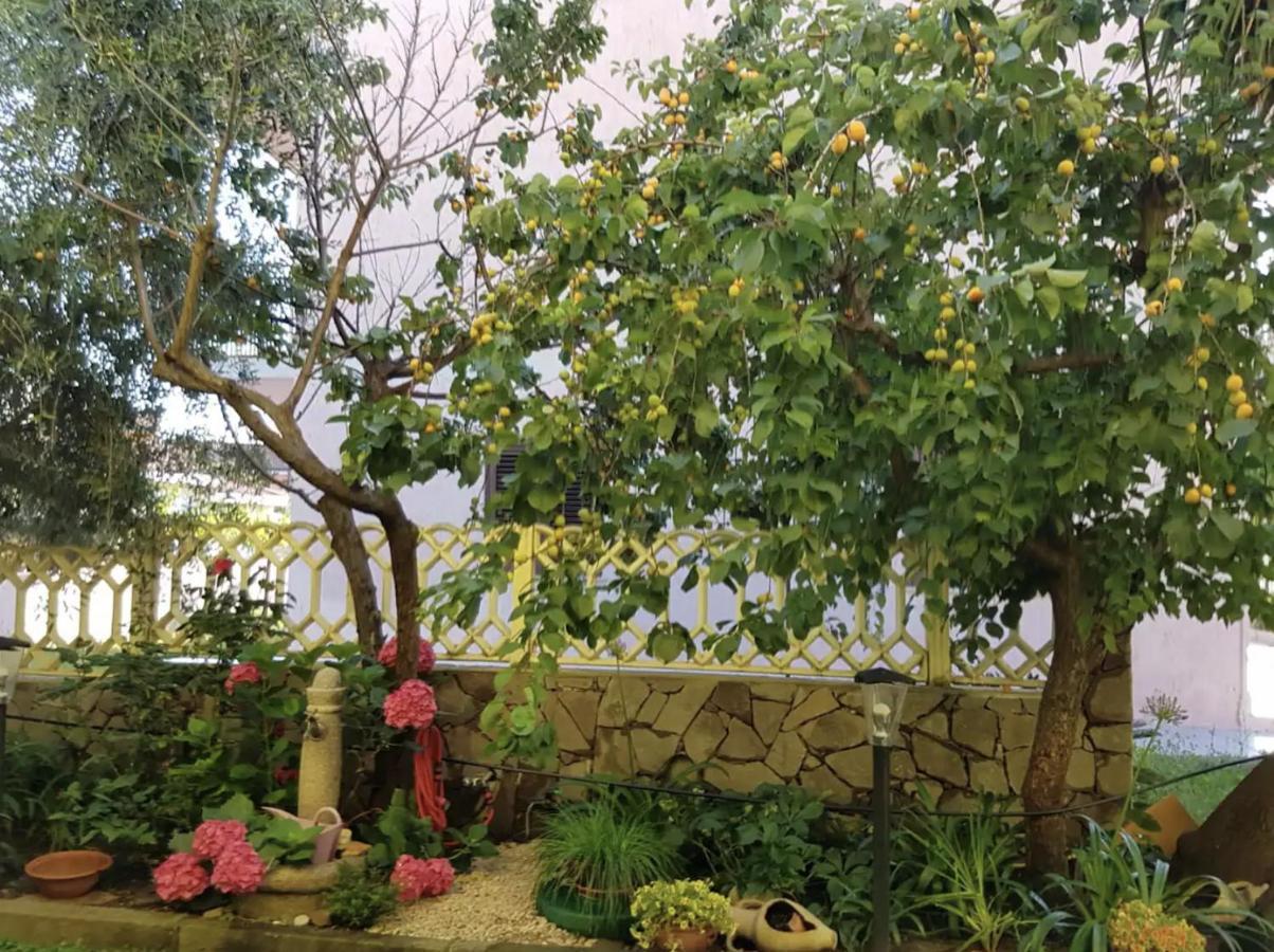 Lovely Flat In Northern Sardinia Valledoria  Ngoại thất bức ảnh